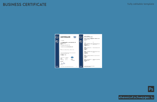 Deutsches DQS-Registrierungszertifikat – Beispielansicht in Word und PDF